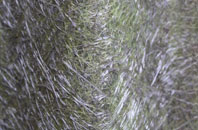 Charlestown fibreglass roof work